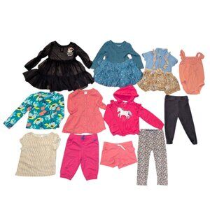 Huge Lot 12 Toddler Girls Long Sleeve Top Shirt Hoodie Jacket Pants Dresses  2T